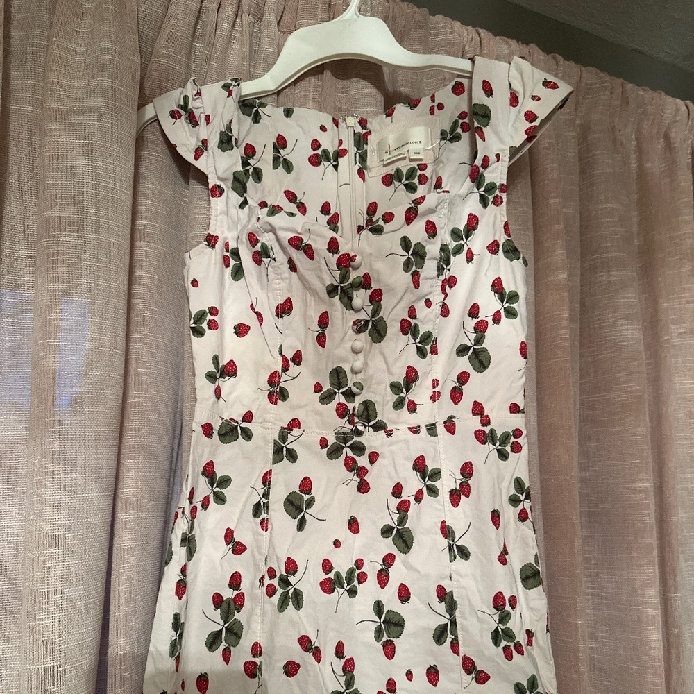 XXS Anthropologie strawberry dress!